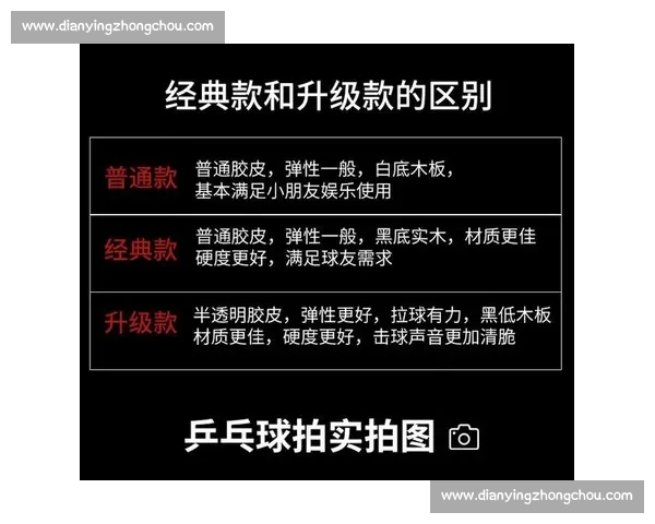 乒乓球比赛中球拍的规格与要求分析及其对比赛表现的影响